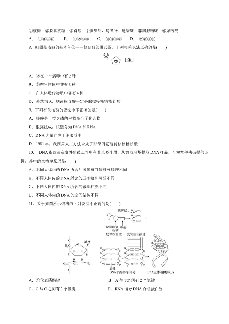 考点42核酸（原卷版）_05高考化学_通用版（老高考）复习资料_2023年复习资料_一轮复习_备战2023年高考化学一轮复习考点帮（全国通用）