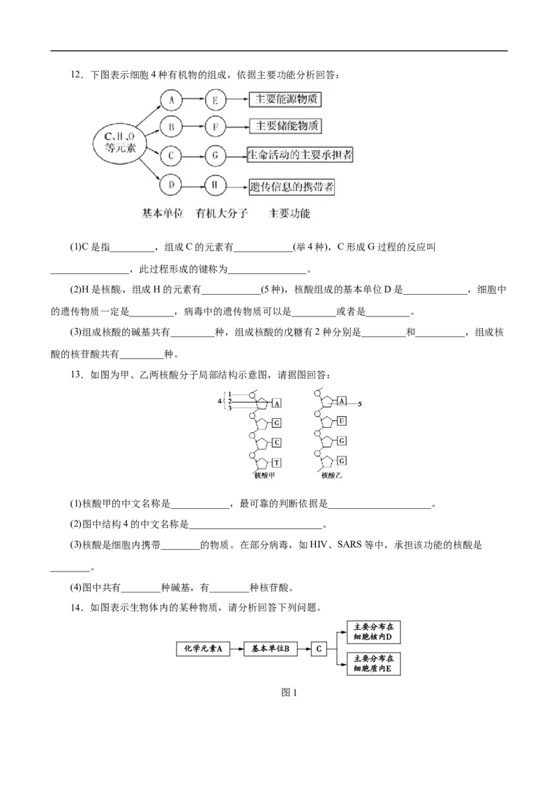 考点42核酸（原卷版）_05高考化学_通用版（老高考）复习资料_2023年复习资料_一轮复习_备战2023年高考化学一轮复习考点帮（全国通用）
