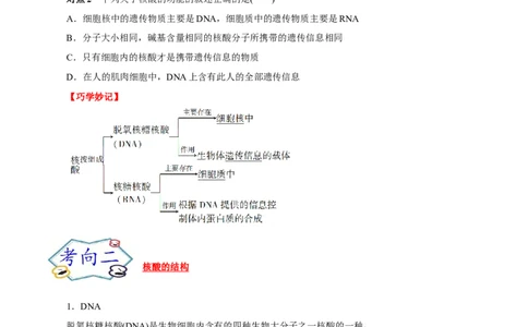 考点42核酸（原卷版）_05高考化学_通用版（老高考）复习资料_2023年复习资料_一轮复习_备战2023年高考化学一轮复习考点帮（全国通用）