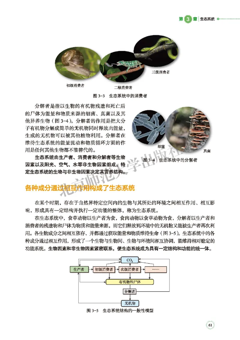 普通高中教科书&middot;生物学选择性必修2生物与环境(1)_高中全套电子教材及答案。_01高中电子教材全套_生物学_北师大版_高中年级_选择性必修2生物与环境