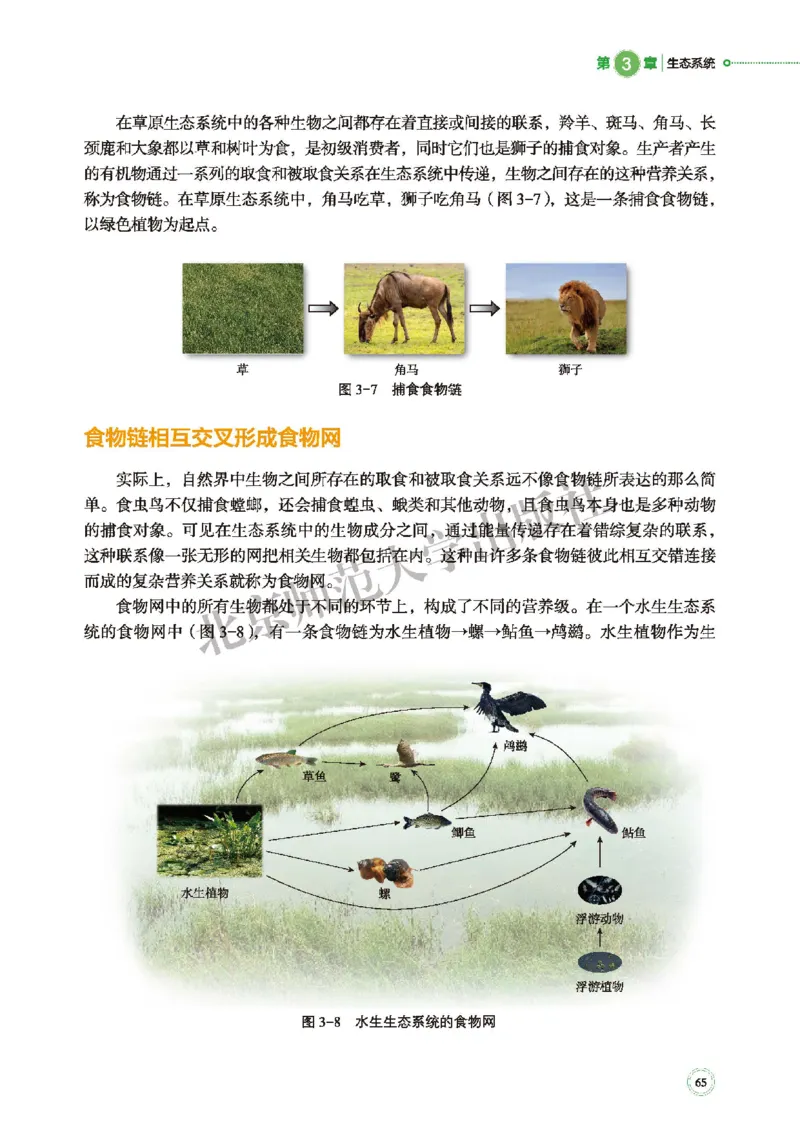 普通高中教科书&middot;生物学选择性必修2生物与环境(1)_高中全套电子教材及答案。_01高中电子教材全套_生物学_北师大版_高中年级_选择性必修2生物与环境