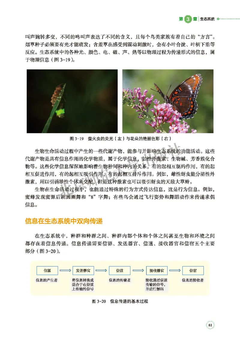 普通高中教科书&middot;生物学选择性必修2生物与环境(1)_高中全套电子教材及答案。_01高中电子教材全套_生物学_北师大版_高中年级_选择性必修2生物与环境