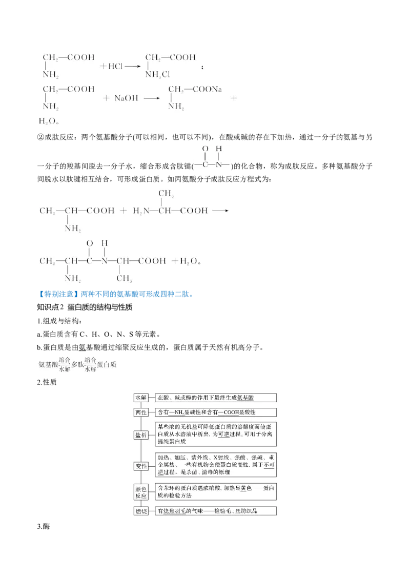 第40讲生物大分子合成高分子（讲义）（原卷版）_05高考化学_新高考复习资料_2024年新高考资料_一轮复习资料_完2024年高考化学一轮复习讲练测(课件+讲义+练习)（新高考）_讲义+练习