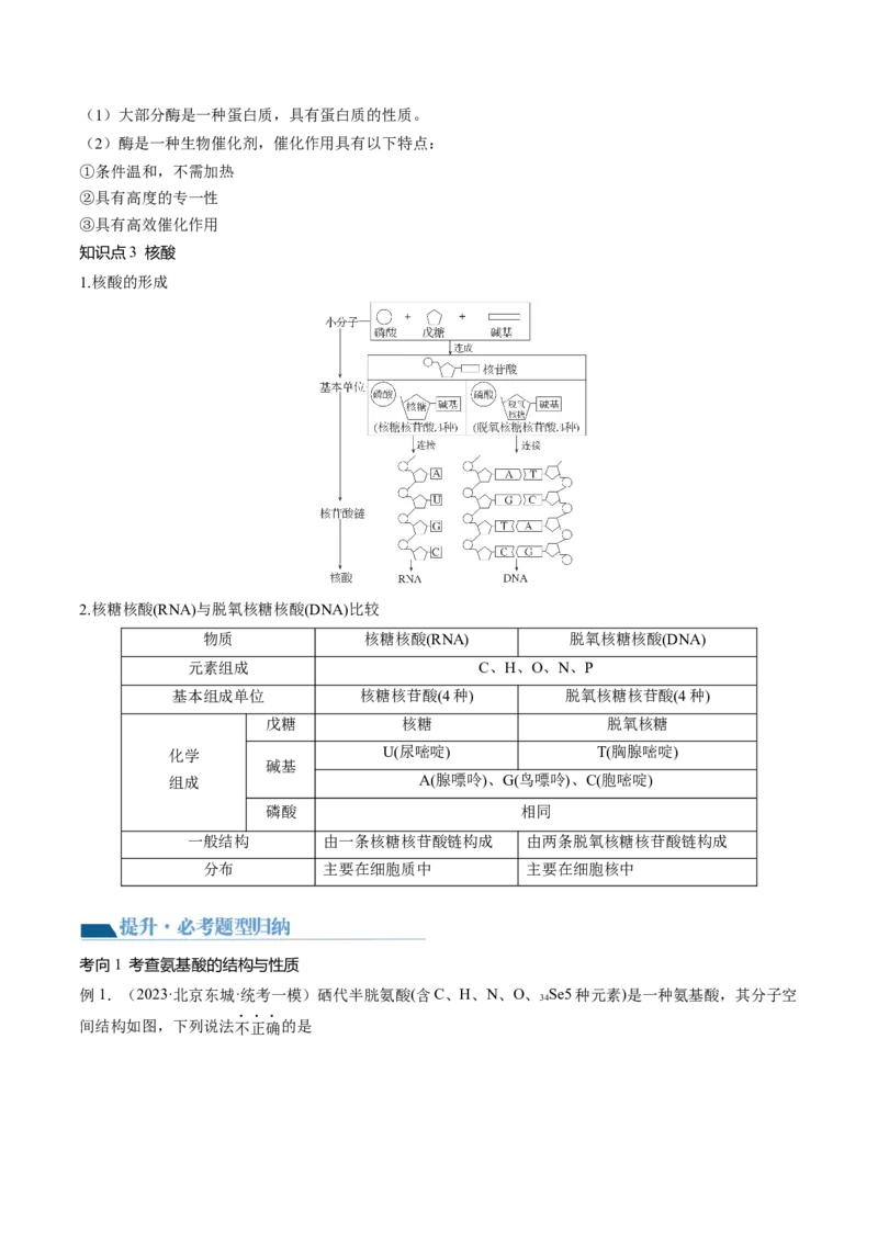 第40讲生物大分子合成高分子（讲义）（原卷版）_05高考化学_新高考复习资料_2024年新高考资料_一轮复习资料_完2024年高考化学一轮复习讲练测(课件+讲义+练习)（新高考）_讲义+练习
