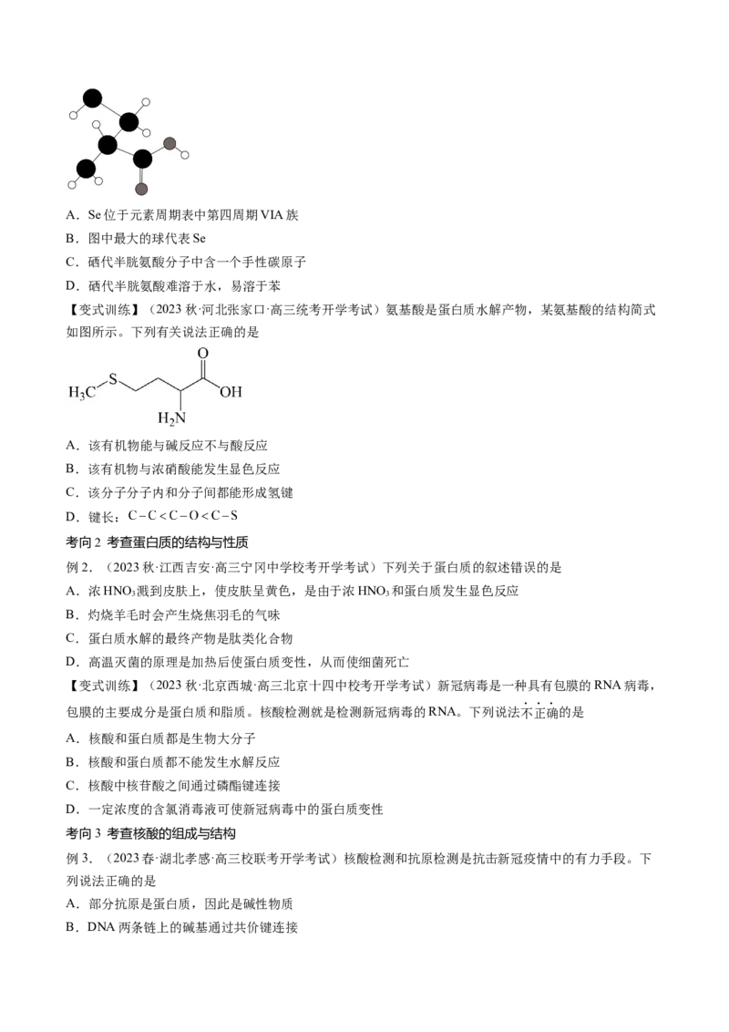第40讲生物大分子合成高分子（讲义）（原卷版）_05高考化学_新高考复习资料_2024年新高考资料_一轮复习资料_完2024年高考化学一轮复习讲练测(课件+讲义+练习)（新高考）_讲义+练习