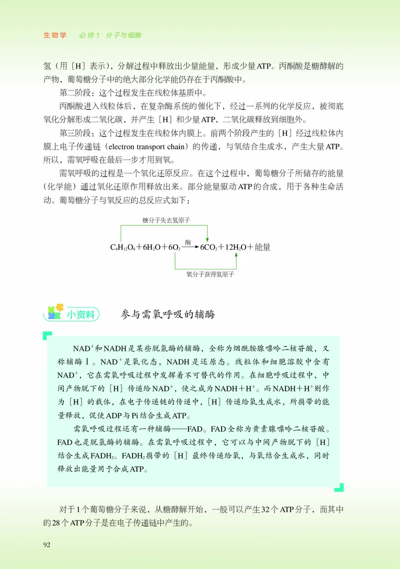普通高中教科书&middot;生物学必修1分子与细胞_高中全套电子教材及答案。_01高中电子教材全套_生物学_浙科版_高中年级_必修1分子与细胞