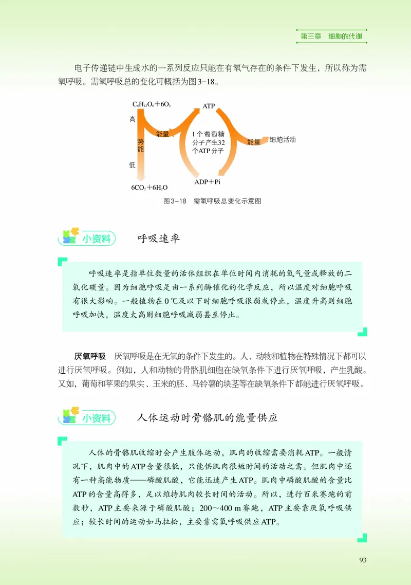 普通高中教科书&middot;生物学必修1分子与细胞_高中全套电子教材及答案。_01高中电子教材全套_生物学_浙科版_高中年级_必修1分子与细胞