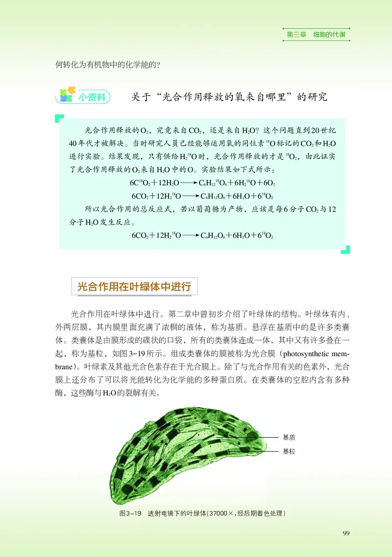 普通高中教科书&middot;生物学必修1分子与细胞_高中全套电子教材及答案。_01高中电子教材全套_生物学_浙科版_高中年级_必修1分子与细胞