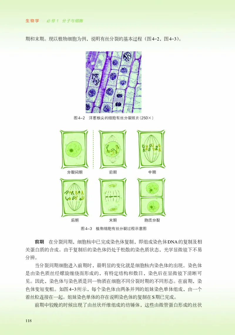 普通高中教科书&middot;生物学必修1分子与细胞_高中全套电子教材及答案。_01高中电子教材全套_生物学_浙科版_高中年级_必修1分子与细胞