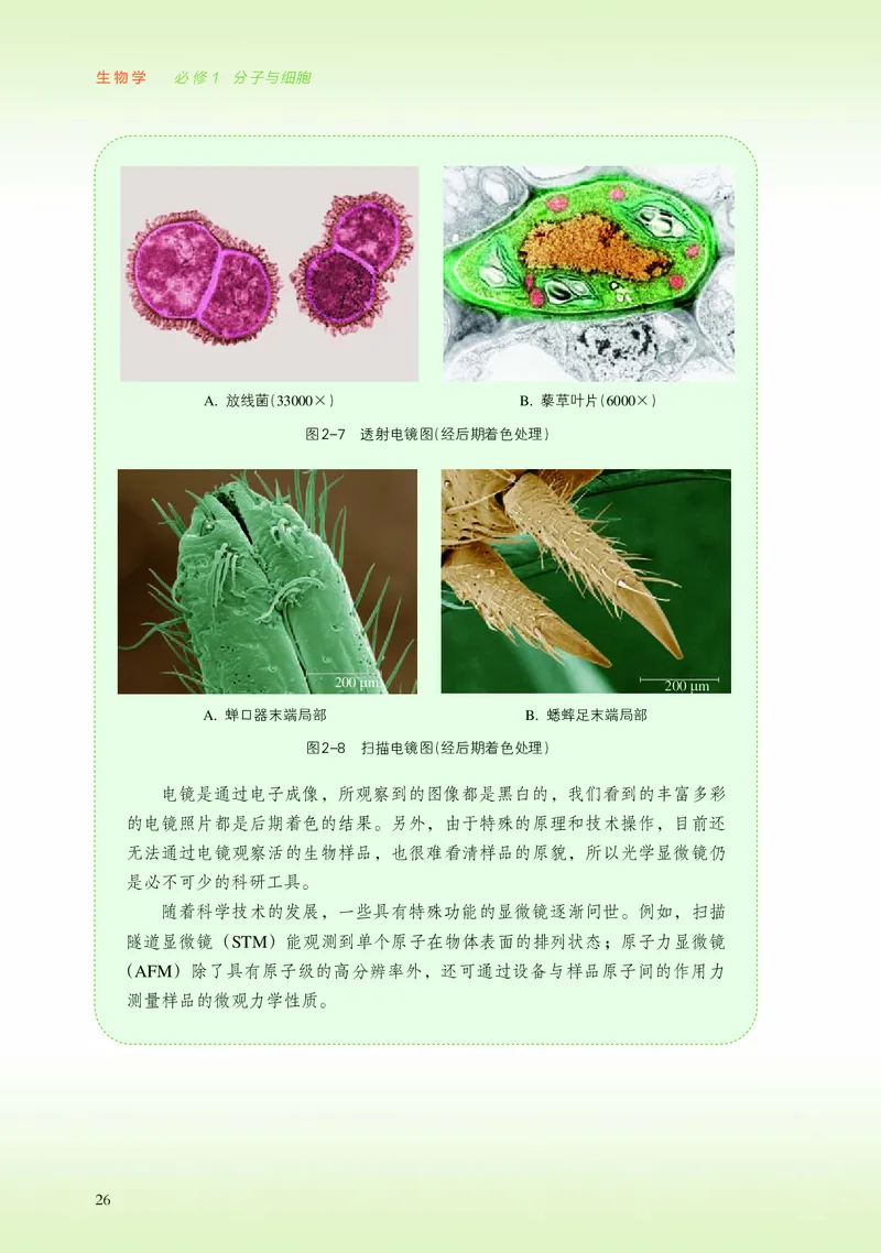 普通高中教科书&middot;生物学必修1分子与细胞_高中全套电子教材及答案。_01高中电子教材全套_生物学_浙科版_高中年级_必修1分子与细胞