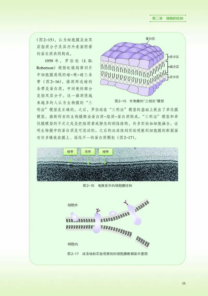 普通高中教科书&middot;生物学必修1分子与细胞_高中全套电子教材及答案。_01高中电子教材全套_生物学_浙科版_高中年级_必修1分子与细胞