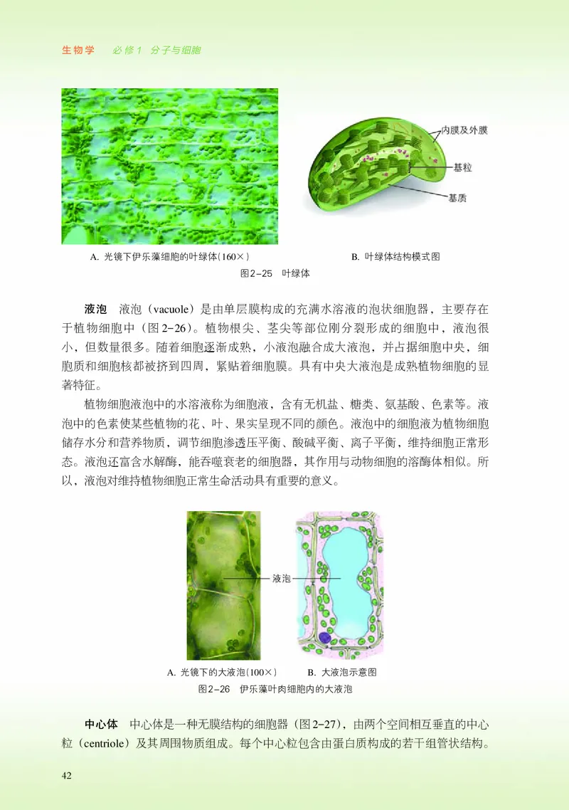 普通高中教科书&middot;生物学必修1分子与细胞_高中全套电子教材及答案。_01高中电子教材全套_生物学_浙科版_高中年级_必修1分子与细胞