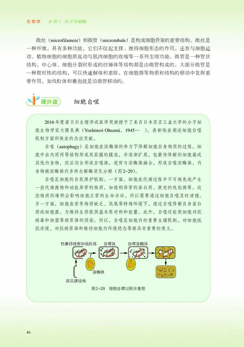 普通高中教科书&middot;生物学必修1分子与细胞_高中全套电子教材及答案。_01高中电子教材全套_生物学_浙科版_高中年级_必修1分子与细胞