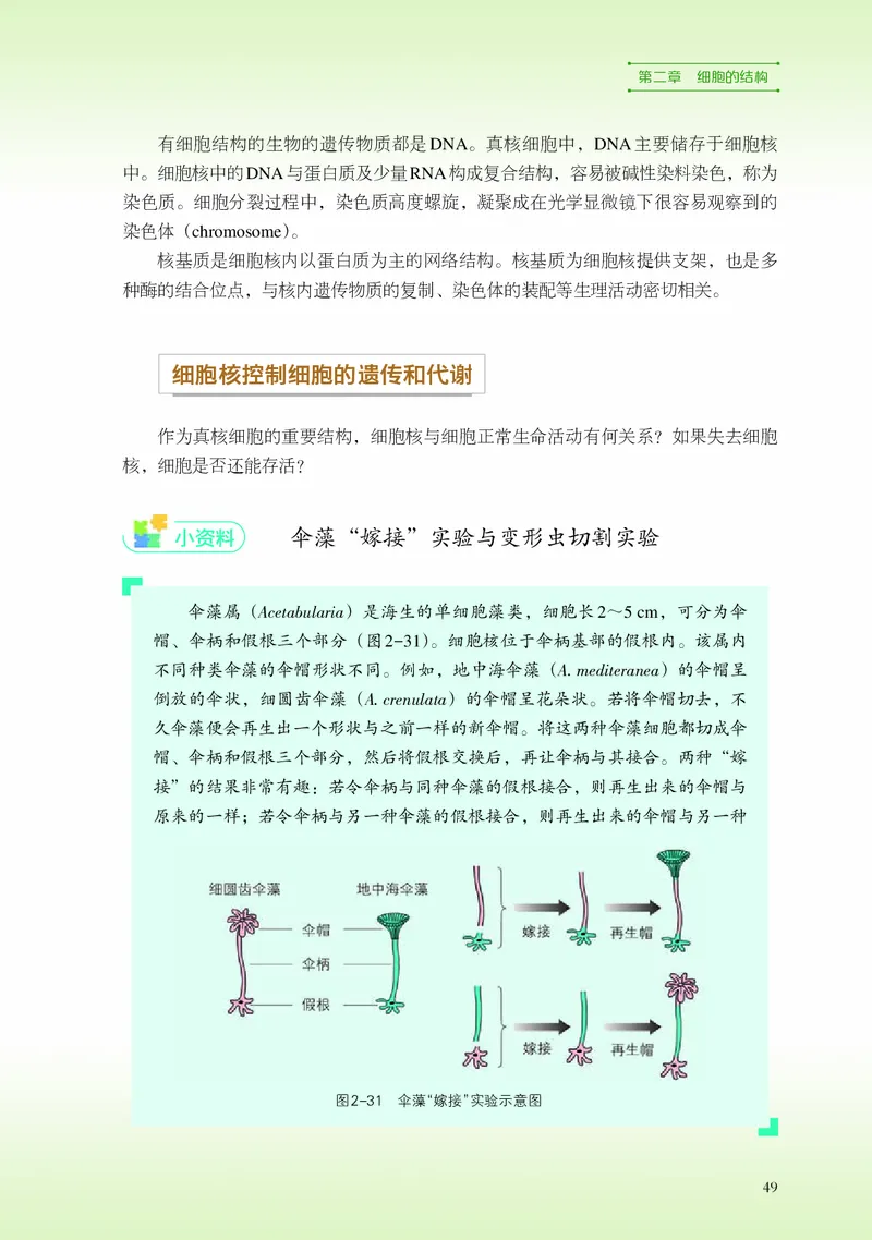 普通高中教科书&middot;生物学必修1分子与细胞_高中全套电子教材及答案。_01高中电子教材全套_生物学_浙科版_高中年级_必修1分子与细胞