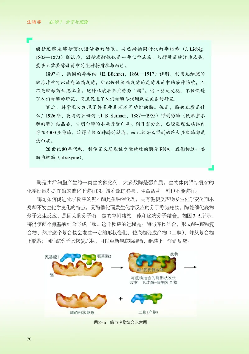 普通高中教科书&middot;生物学必修1分子与细胞_高中全套电子教材及答案。_01高中电子教材全套_生物学_浙科版_高中年级_必修1分子与细胞