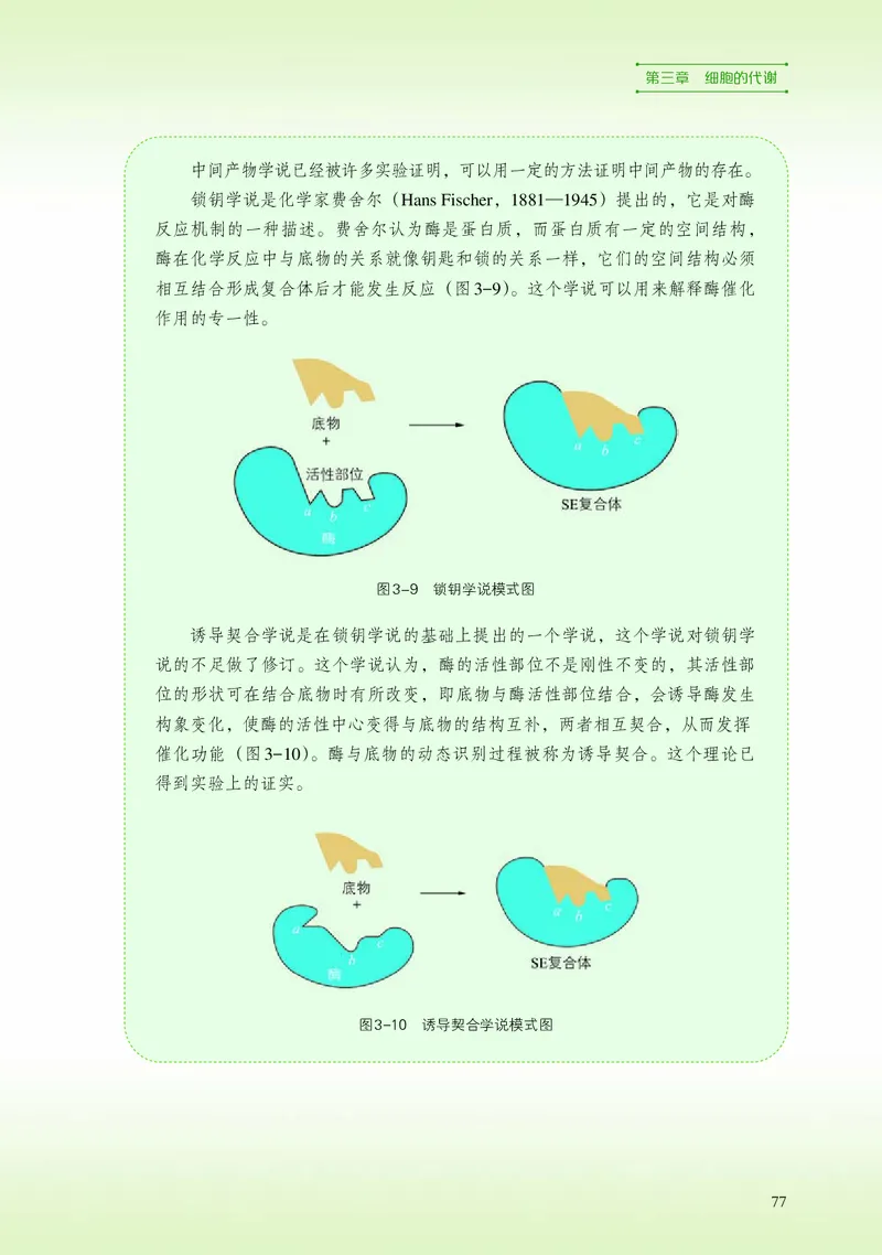 普通高中教科书&middot;生物学必修1分子与细胞_高中全套电子教材及答案。_01高中电子教材全套_生物学_浙科版_高中年级_必修1分子与细胞