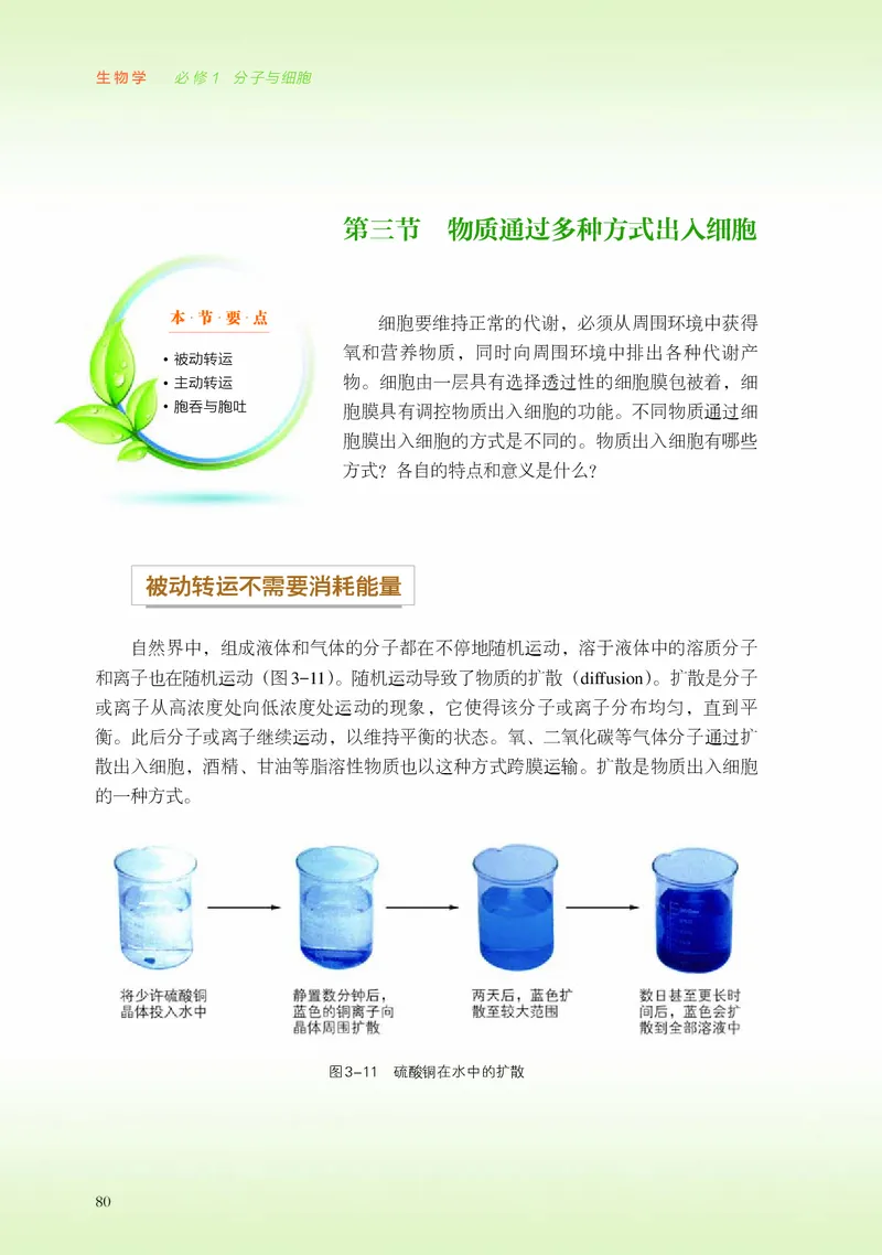 普通高中教科书&middot;生物学必修1分子与细胞_高中全套电子教材及答案。_01高中电子教材全套_生物学_浙科版_高中年级_必修1分子与细胞