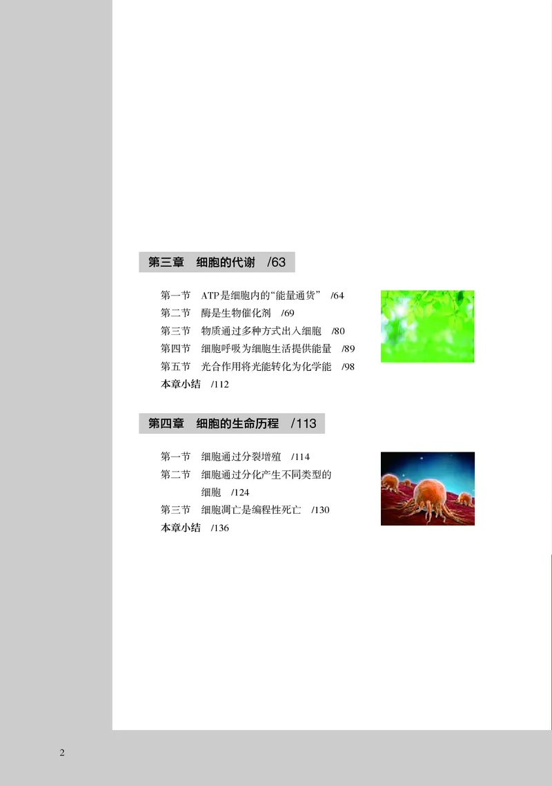 普通高中教科书&middot;生物学必修1分子与细胞_高中全套电子教材及答案。_01高中电子教材全套_生物学_浙科版_高中年级_必修1分子与细胞