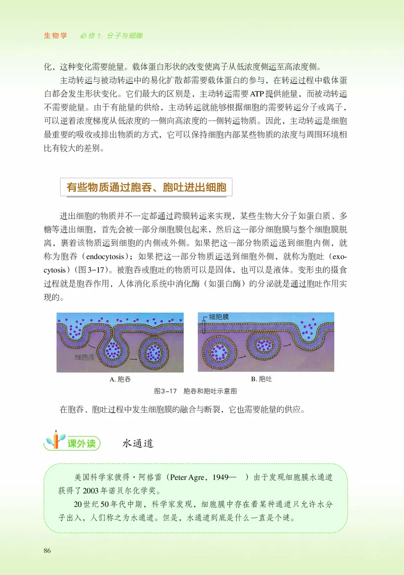 普通高中教科书&middot;生物学必修1分子与细胞_高中全套电子教材及答案。_01高中电子教材全套_生物学_浙科版_高中年级_必修1分子与细胞