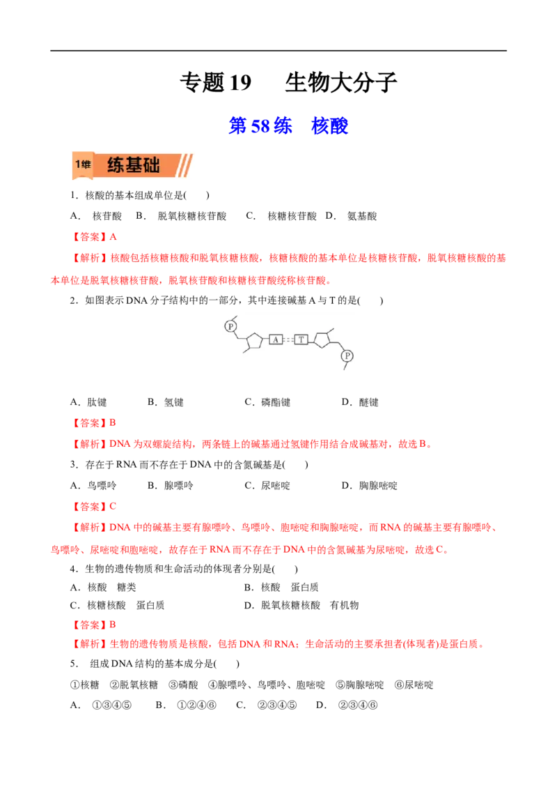第58练核酸-2023年高考化学一轮复习小题多维练（解析版）_05高考化学_通用版（老高考）复习资料_2023年复习资料_一轮复习_2023年高考化学一轮复习小题多维练（全国通用）