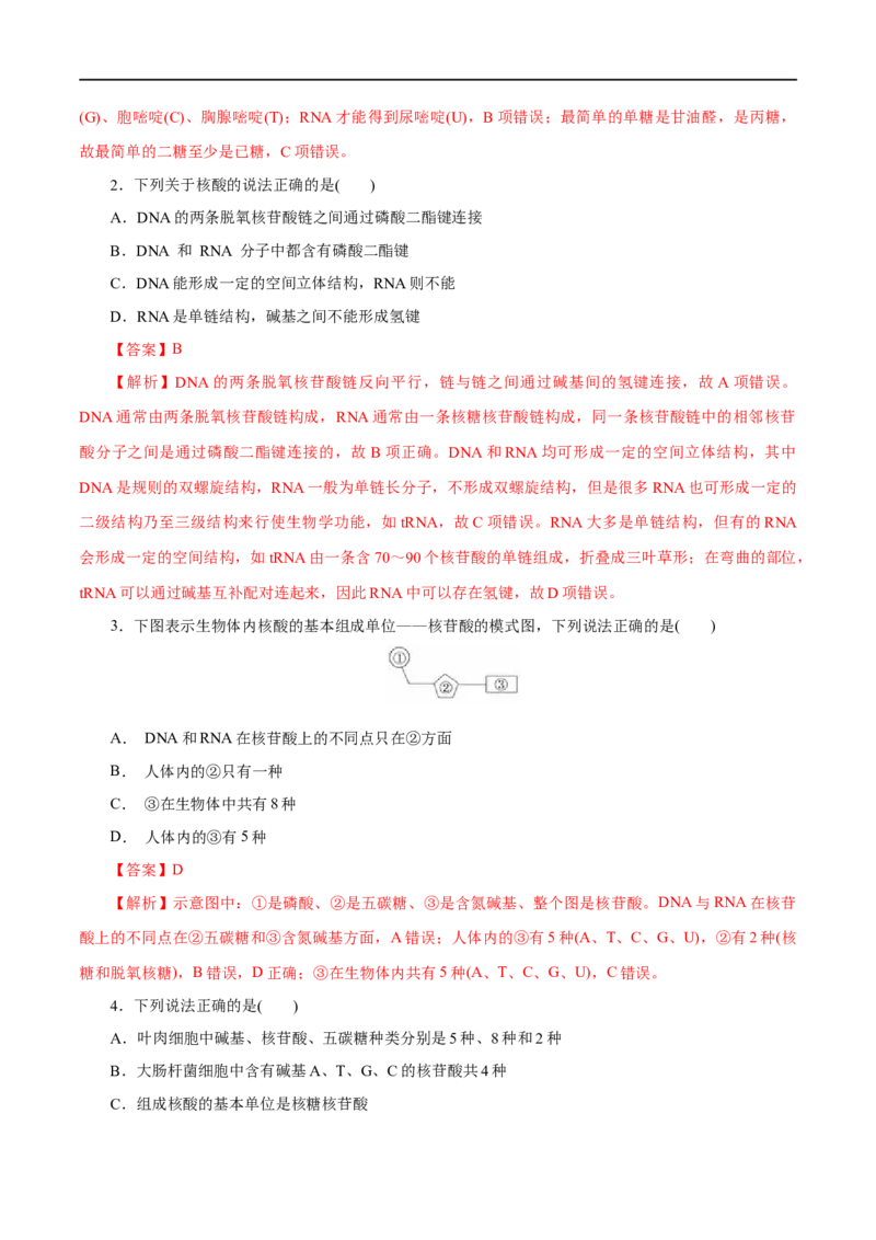 第58练核酸-2023年高考化学一轮复习小题多维练（解析版）_05高考化学_通用版（老高考）复习资料_2023年复习资料_一轮复习_2023年高考化学一轮复习小题多维练（全国通用）