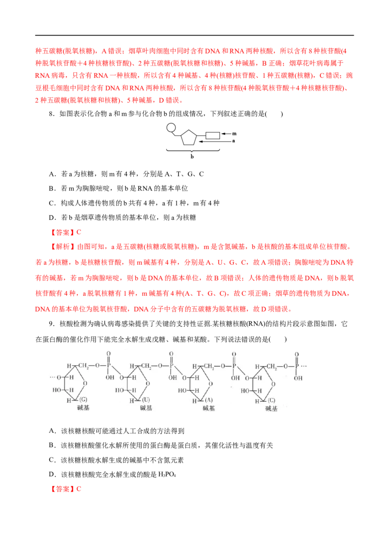 第58练核酸-2023年高考化学一轮复习小题多维练（解析版）_05高考化学_通用版（老高考）复习资料_2023年复习资料_一轮复习_2023年高考化学一轮复习小题多维练（全国通用）