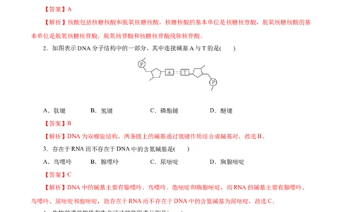 第58练核酸-2023年高考化学一轮复习小题多维练（解析版）_05高考化学_通用版（老高考）复习资料_2023年复习资料_一轮复习_2023年高考化学一轮复习小题多维练（全国通用）