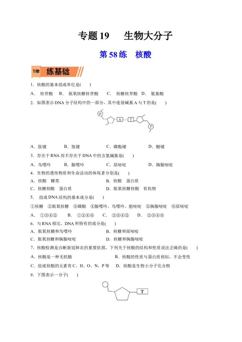 第58练核酸-2023年高考化学一轮复习小题多维练（原卷版）_05高考化学_新高考复习资料_2023年新高考资料_一轮复习_2023年新高考化学一轮复习小题多维练