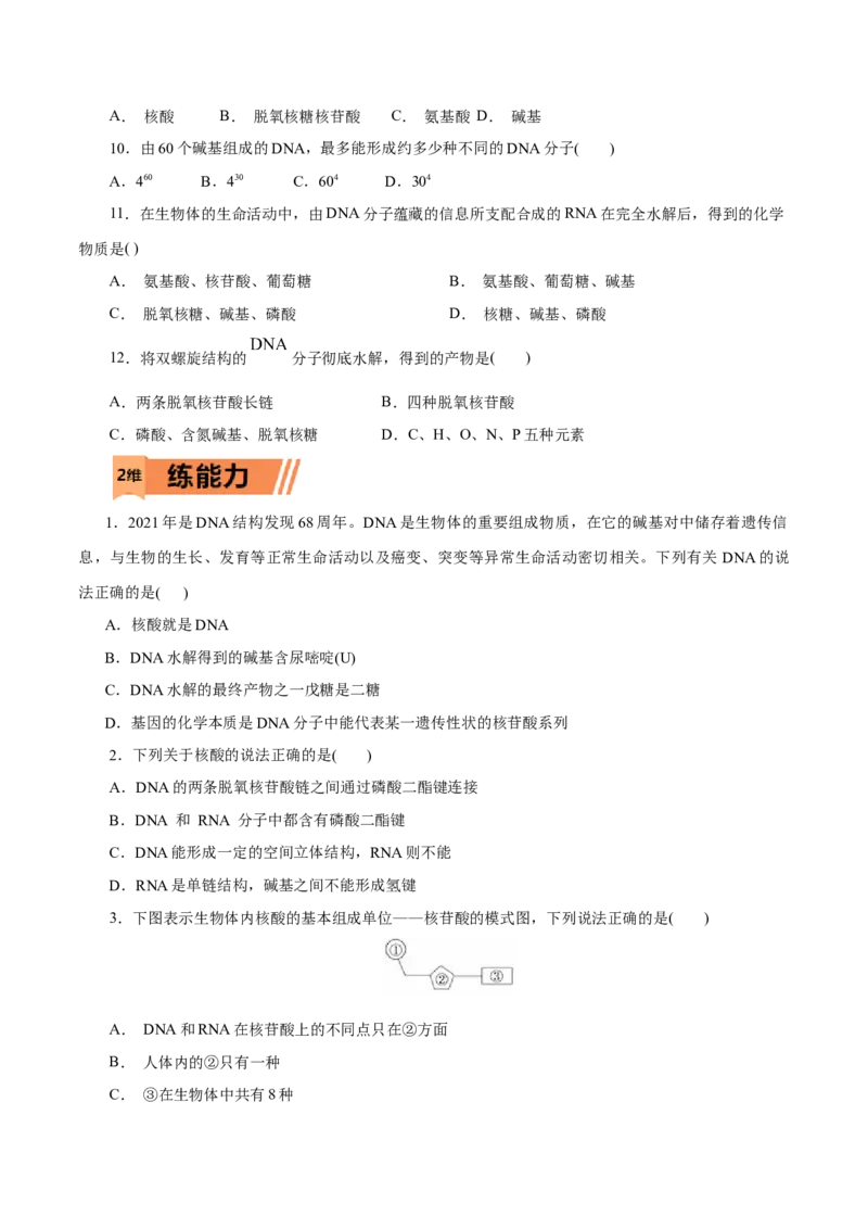 第58练核酸-2023年高考化学一轮复习小题多维练（原卷版）_05高考化学_新高考复习资料_2023年新高考资料_一轮复习_2023年新高考化学一轮复习小题多维练
