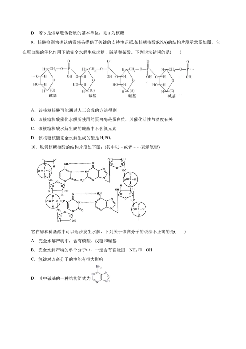 第58练核酸-2023年高考化学一轮复习小题多维练（原卷版）_05高考化学_新高考复习资料_2023年新高考资料_一轮复习_2023年新高考化学一轮复习小题多维练
