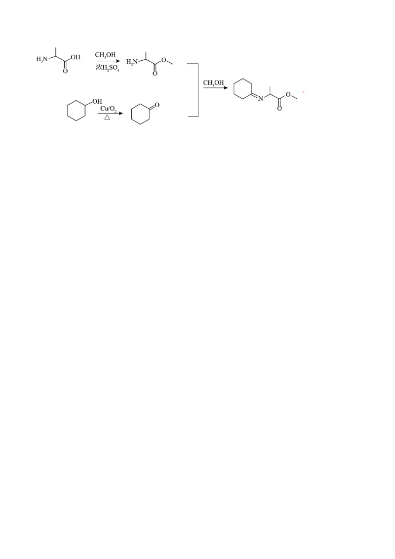 第一次月考卷&nbsp;-2024年高考化学一轮复习考点通关卷（新高考通用）（解析版）_05高考化学_2024年新高考资料_1.2024一轮复习_2024年高考化学一轮复习考点通关卷（新高考通用）