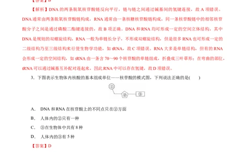 第58练核酸-2023年高考化学一轮复习小题多维练（解析版）_05高考化学_新高考复习资料_2023年新高考资料_一轮复习_2023年新高考化学一轮复习小题多维练