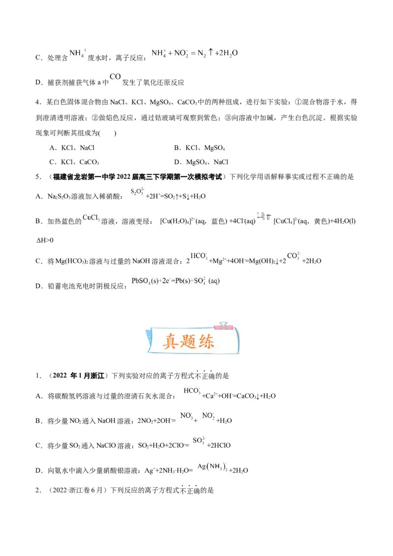 考向04离子反应-备战2023年高考化学一轮复习考点微专题（新高考地区专用）_05高考化学_新高考复习资料_2023年新高考资料_一轮复习