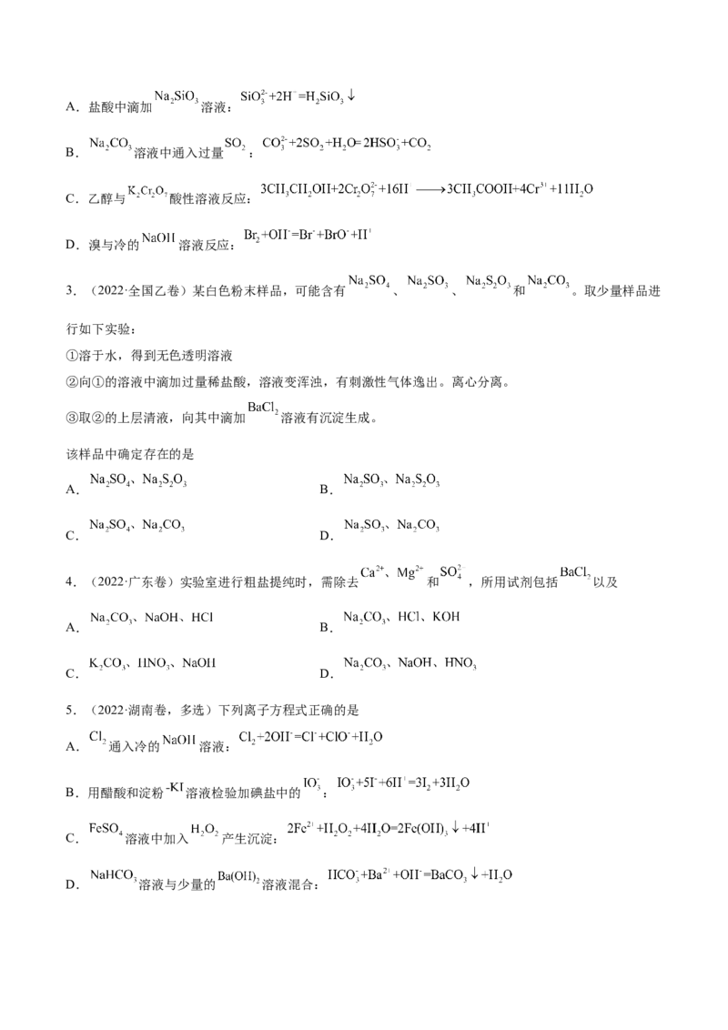 考向04离子反应-备战2023年高考化学一轮复习考点微专题（新高考地区专用）_05高考化学_新高考复习资料_2023年新高考资料_一轮复习