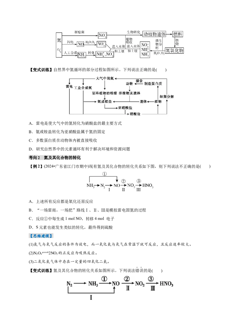 第03讲氮及其重要化合物(讲义)(原卷版)_05高考化学_2025年新高考资料_一轮复习_2025年高考化学一轮复习讲练测（新教材新高考）_第四章非金属及其化合物