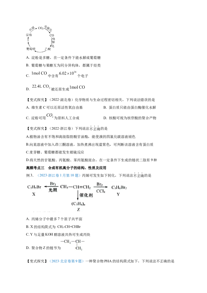 第34讲生物大分子与合成高分子（讲）-2024年高考化学大一轮复习精讲精练+专题讲座（原卷版）_05高考化学_2024年新高考资料_1.2024一轮复习