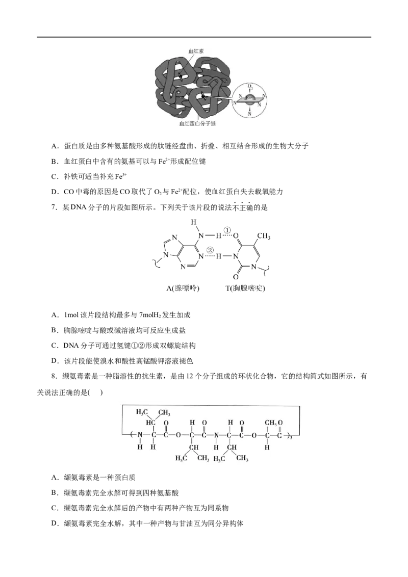 第57练蛋白质-2023年高考化学一轮复习小题多维练（原卷版）_05高考化学_通用版（老高考）复习资料_2023年复习资料_一轮复习_2023年高考化学一轮复习小题多维练（全国通用）
