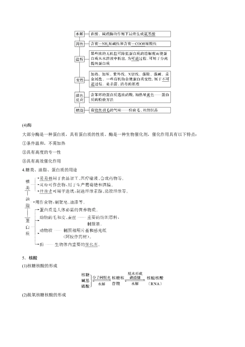第35讲生命中的基础有机化学物质　合成有机高分子（讲）-2023年高考化学一轮复习讲练测（全国通用）（解析版）_05高考化学_通用版（老高考）复习资料_2023年复习资料_一轮复习