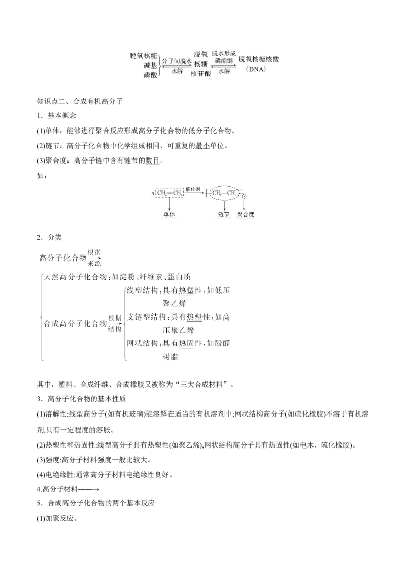 第35讲生命中的基础有机化学物质　合成有机高分子（讲）-2023年高考化学一轮复习讲练测（全国通用）（解析版）_05高考化学_通用版（老高考）复习资料_2023年复习资料_一轮复习