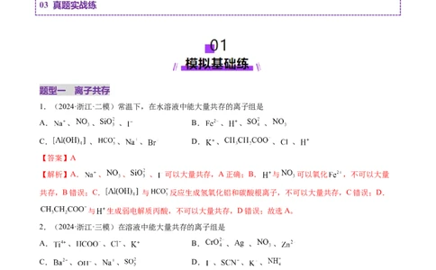 第03讲离子共存、离子的检验与推断（练习）（解析版）_05高考化学_2025年新高考资料_一轮复习_2025年高考化学一轮复习讲练测（新教材新高考）_第一章物质及其变化