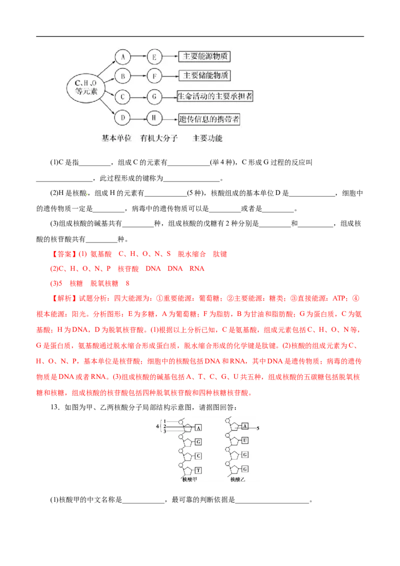考点42核酸（解析版）_05高考化学_通用版（老高考）复习资料_2023年复习资料_一轮复习_备战2023年高考化学一轮复习考点帮（全国通用）