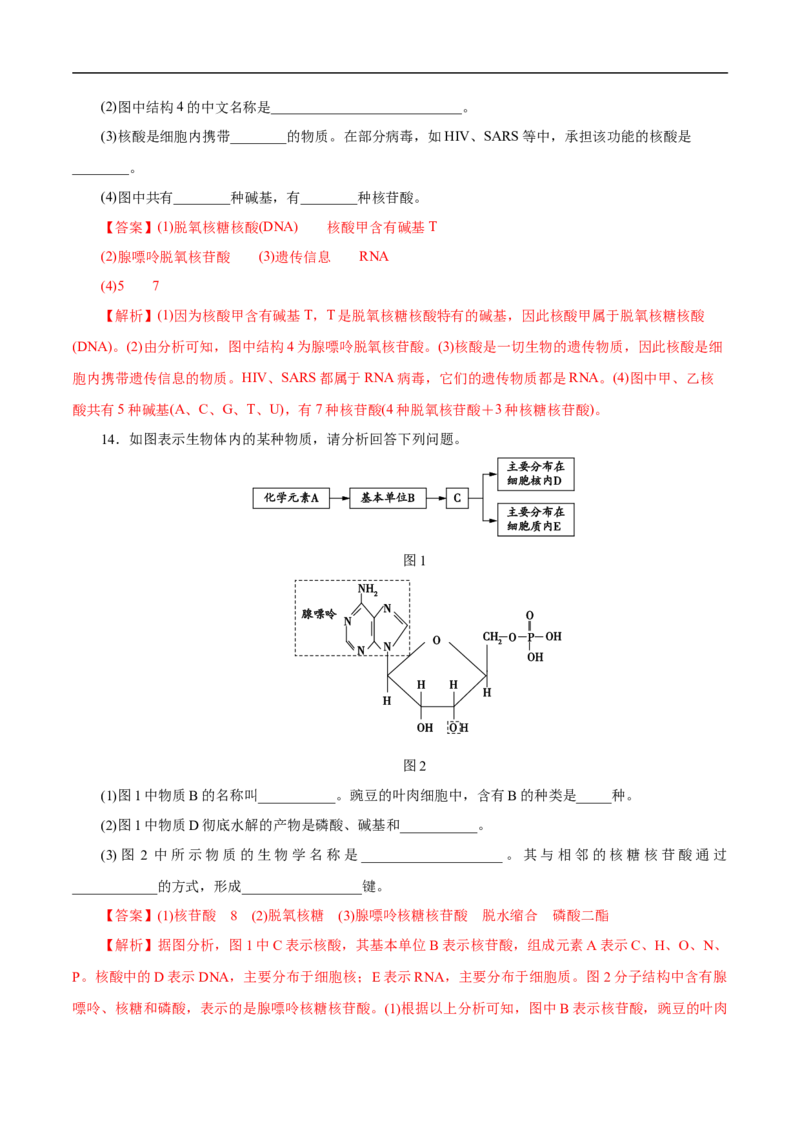 考点42核酸（解析版）_05高考化学_通用版（老高考）复习资料_2023年复习资料_一轮复习_备战2023年高考化学一轮复习考点帮（全国通用）