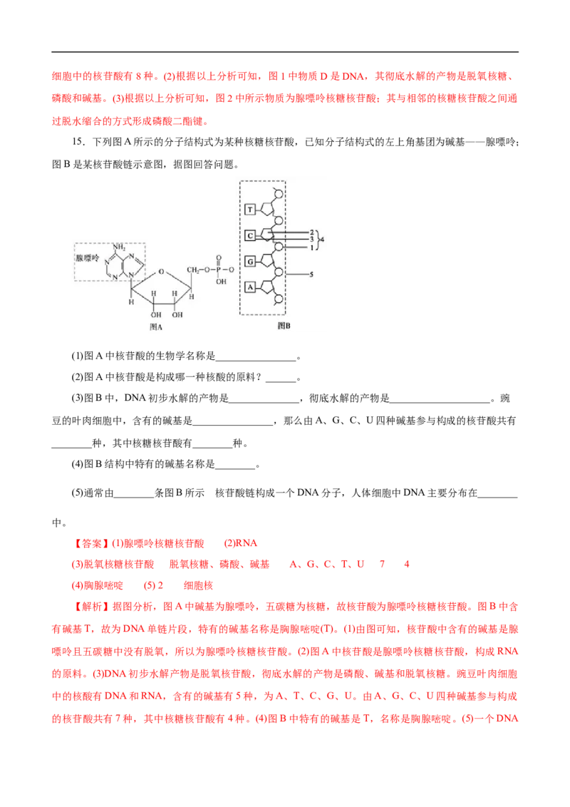 考点42核酸（解析版）_05高考化学_通用版（老高考）复习资料_2023年复习资料_一轮复习_备战2023年高考化学一轮复习考点帮（全国通用）