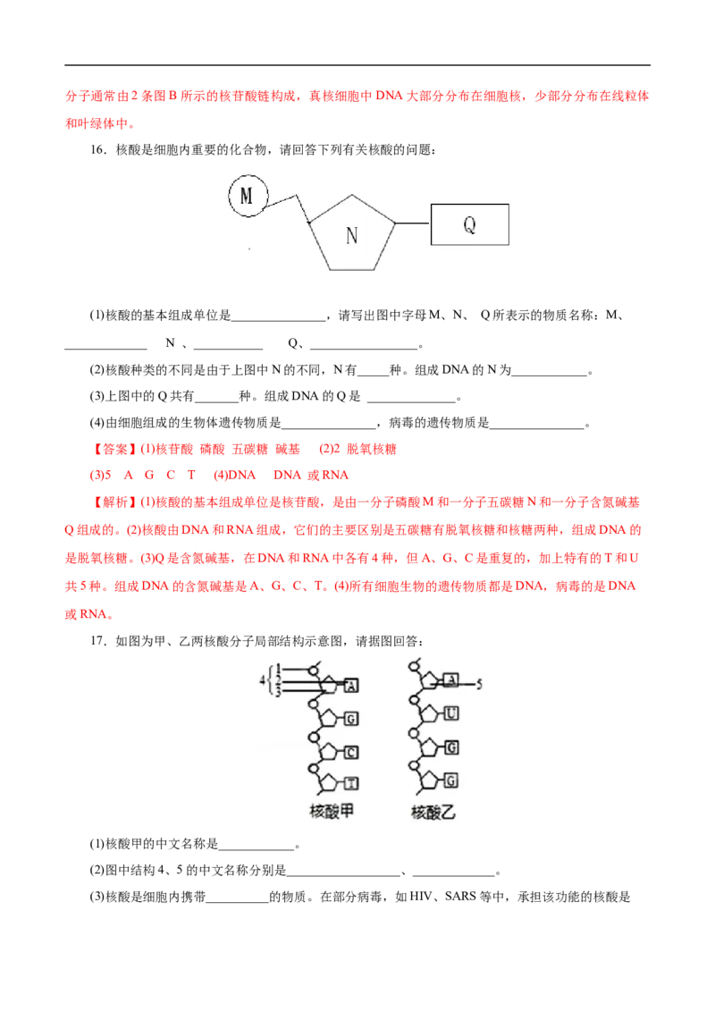 考点42核酸（解析版）_05高考化学_通用版（老高考）复习资料_2023年复习资料_一轮复习_备战2023年高考化学一轮复习考点帮（全国通用）
