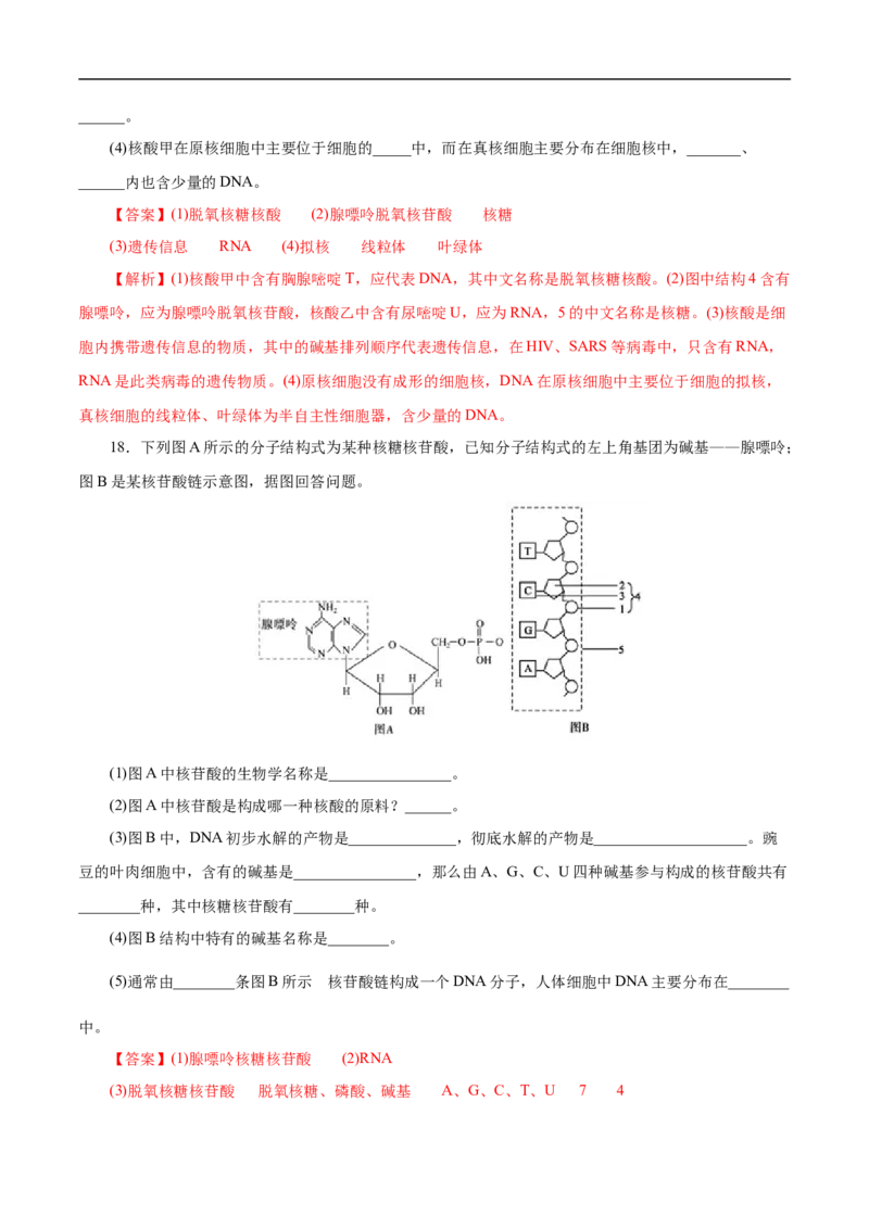 考点42核酸（解析版）_05高考化学_通用版（老高考）复习资料_2023年复习资料_一轮复习_备战2023年高考化学一轮复习考点帮（全国通用）