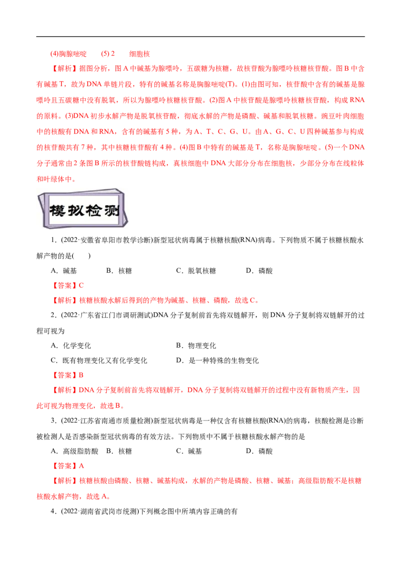 考点42核酸（解析版）_05高考化学_通用版（老高考）复习资料_2023年复习资料_一轮复习_备战2023年高考化学一轮复习考点帮（全国通用）