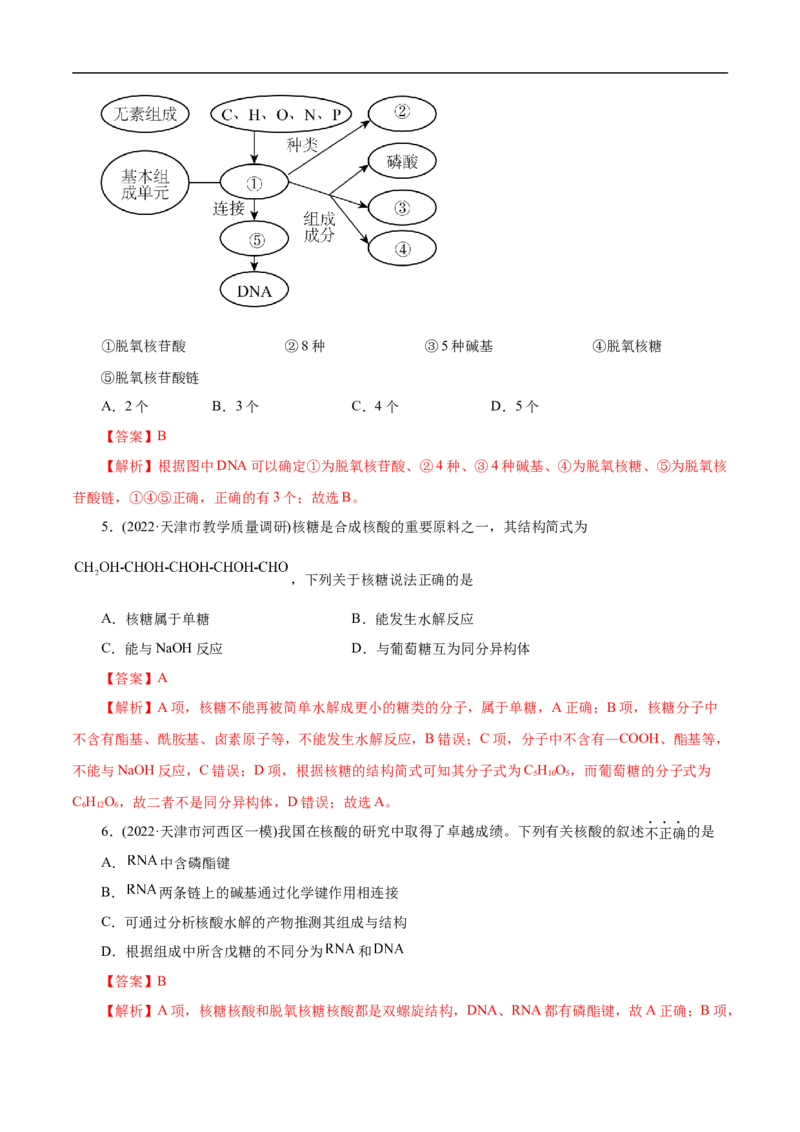 考点42核酸（解析版）_05高考化学_通用版（老高考）复习资料_2023年复习资料_一轮复习_备战2023年高考化学一轮复习考点帮（全国通用）