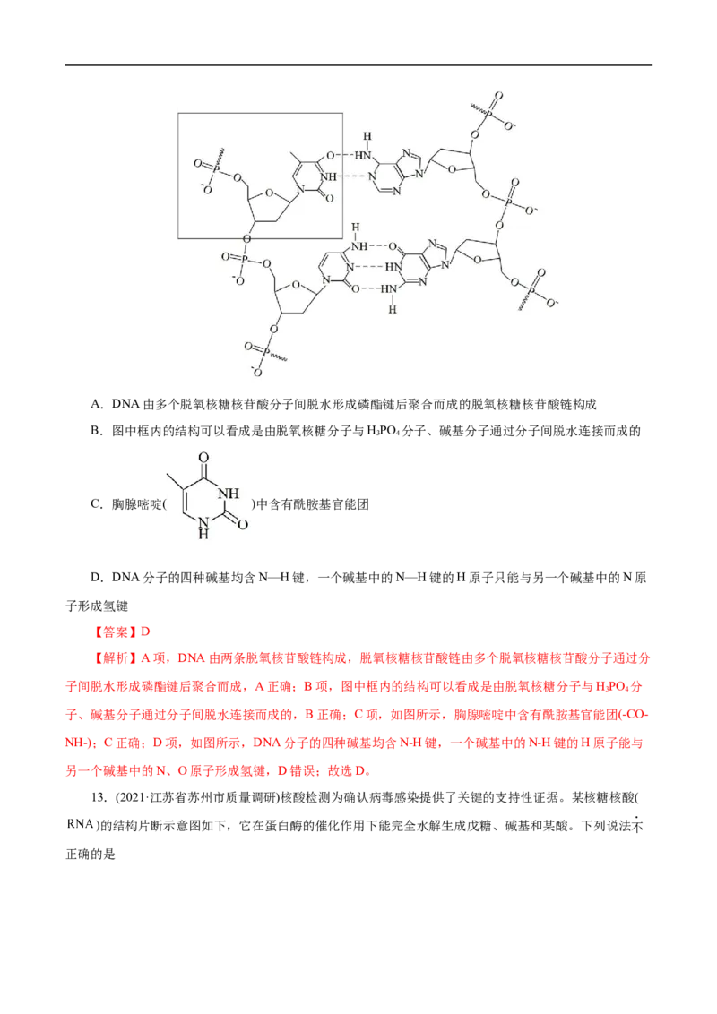 考点42核酸（解析版）_05高考化学_通用版（老高考）复习资料_2023年复习资料_一轮复习_备战2023年高考化学一轮复习考点帮（全国通用）