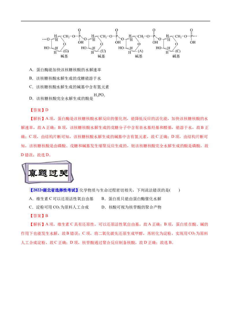 考点42核酸（解析版）_05高考化学_通用版（老高考）复习资料_2023年复习资料_一轮复习_备战2023年高考化学一轮复习考点帮（全国通用）
