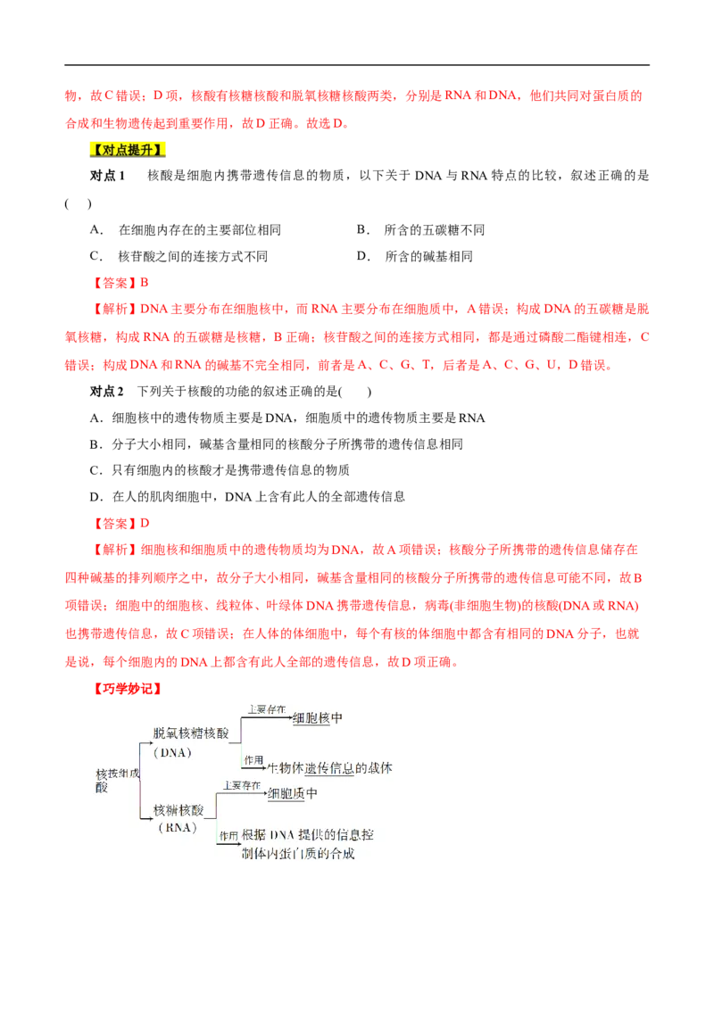 考点42核酸（解析版）_05高考化学_通用版（老高考）复习资料_2023年复习资料_一轮复习_备战2023年高考化学一轮复习考点帮（全国通用）